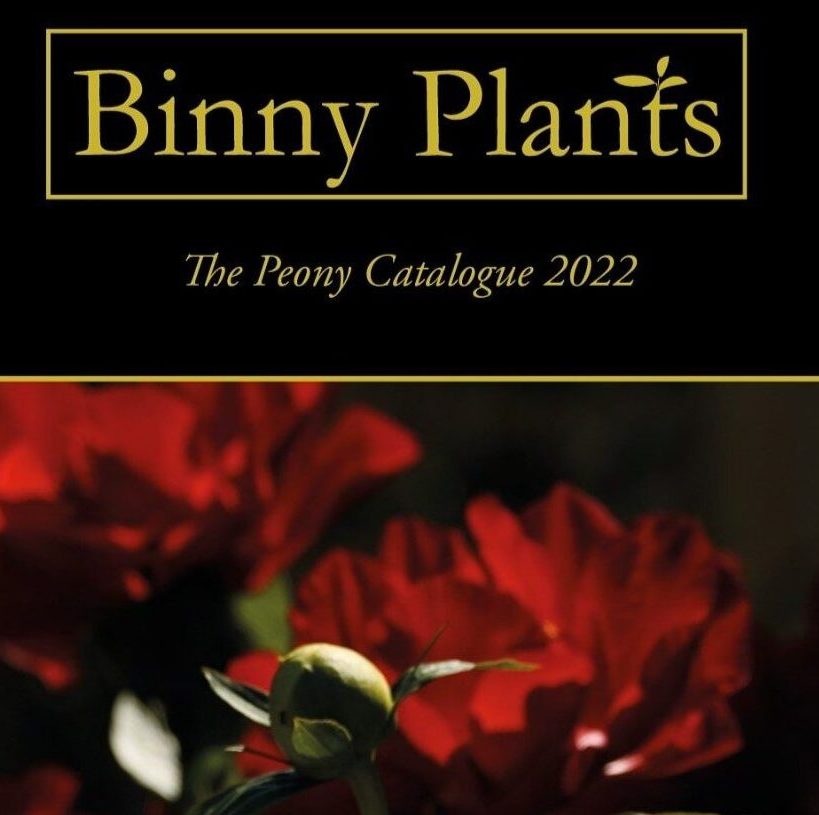 alt="Каталог питомника Binny Plants"